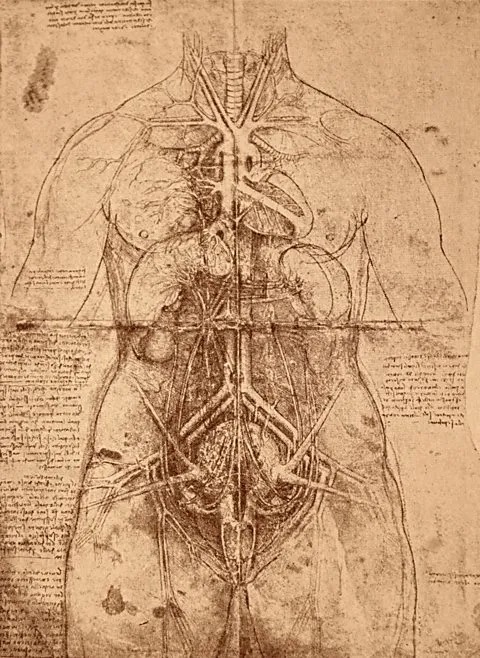 Visxon：医学插画的历史演变与启发